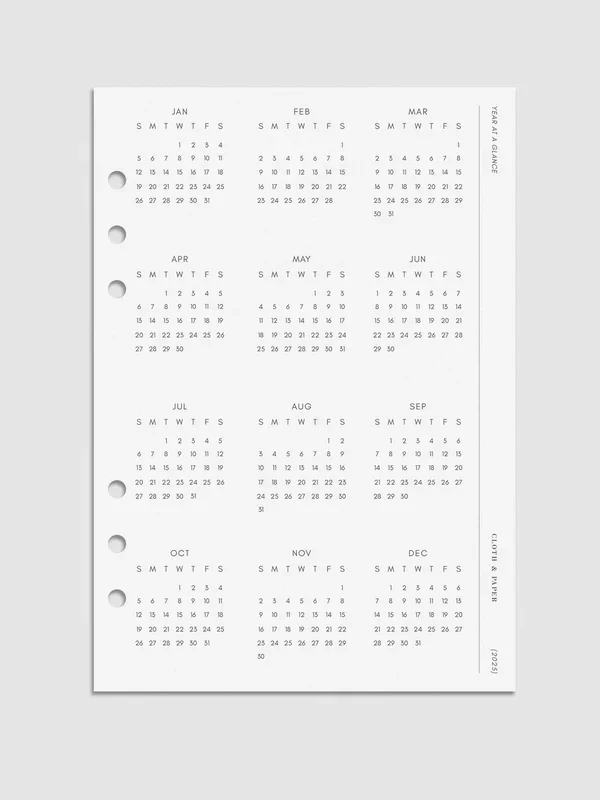 2025 Year At A Glance Planner Dashboard