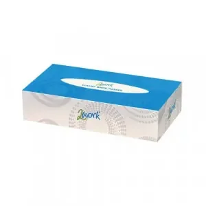 2Work Facial Tissues Box 100 Sheets 2-Ply (Pack of 36) CPD11210