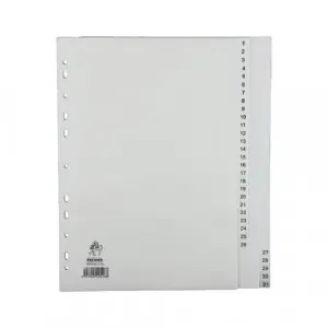 A4 White 1-31 Polypropylene Index WX01357