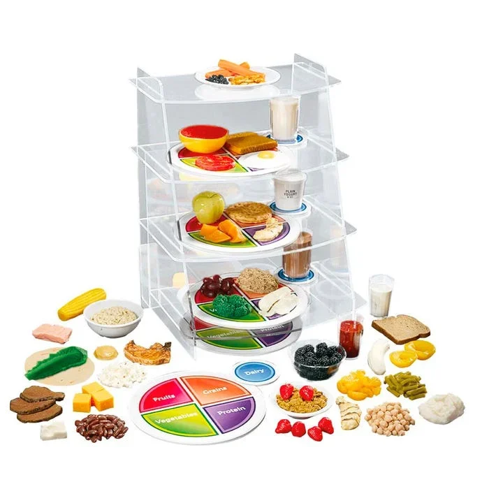 American 3B Scientific My Complete Plate Kit