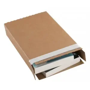 Blake VITA Kraft Peel and Seal Corrugated Box 243 x 16mm 120 Pack 25 Code PPB40
