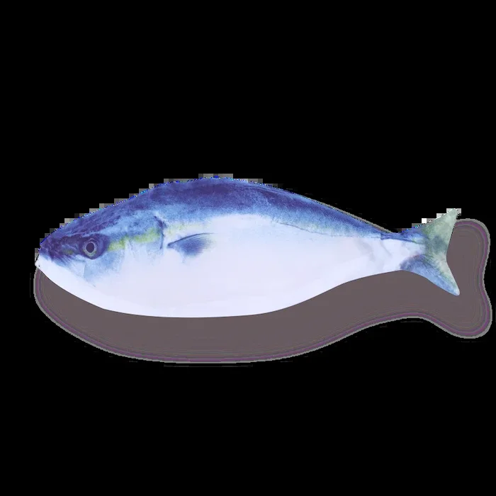 Bluefish Pencil Case