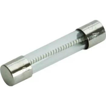 Bussmann® 4 Amp 250 Volt Time-Delay Fuse (5-Pack)