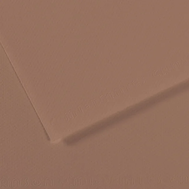 Canson Mi-Teintes Drawing Paper – 19″ x 25″, Chestnut Brown, Single Sheet