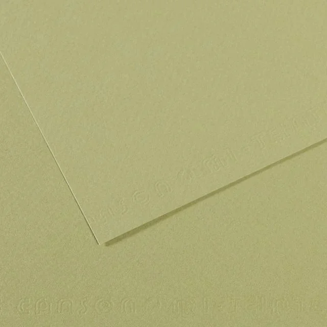 Canson Mi-Teintes Drawing Paper – 19″ x 25″, Light Green, Single Sheet
