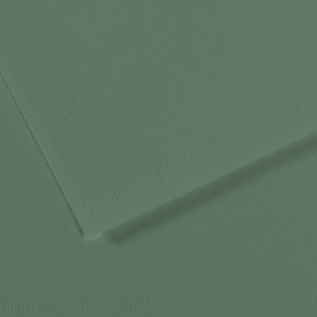 Canson Mi-Teintes Drawing Paper – 19″ x 25″, Sage Green, Single Sheet