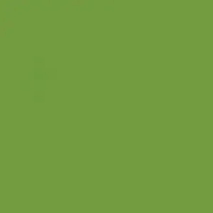 Coala Int Film Colours M5 Poison Green 1220mmx50M Perm Air Free 225mic Min 5M