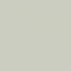 Coala Int Film Colours NH21 Soft Green 1220mx50M Perm Air Free 210mic Min
