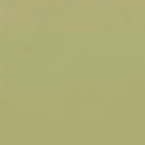 Coala Int Film Colours RM19 Light Olive Grain 1220mmx50M Perm Air Free 2