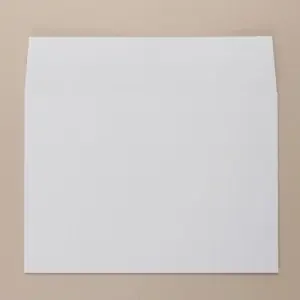 Communique Wallet Envelope S/S C5 162X229mm 100gsm White Pack Of 500 01025 100% PEFC Certified