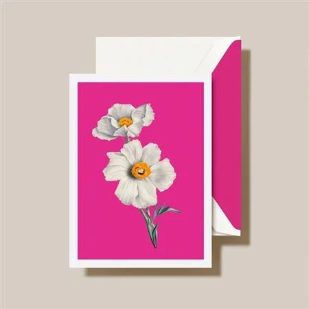 Crane Modern Vintage White Poppies Note 10/10