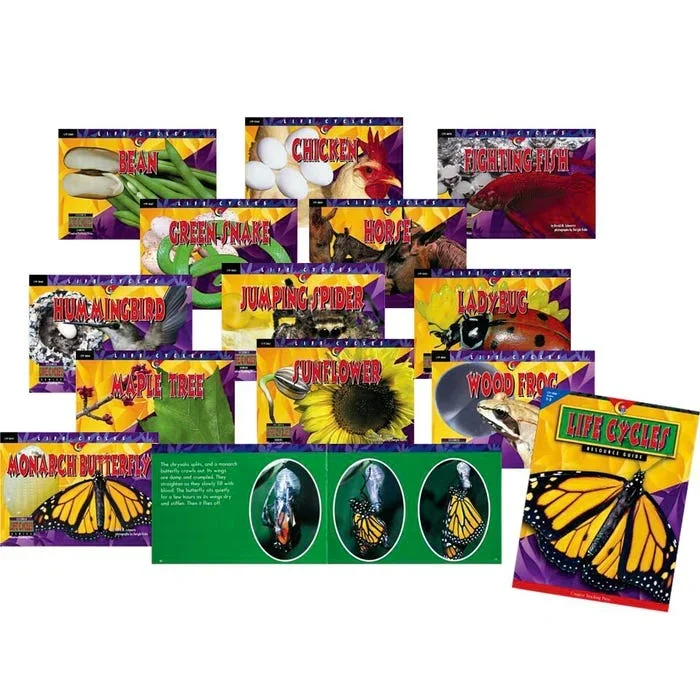 Creative Teaching Press Life Cycles Variety Pack