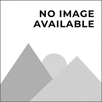 Delta Gasket Model Rp62933