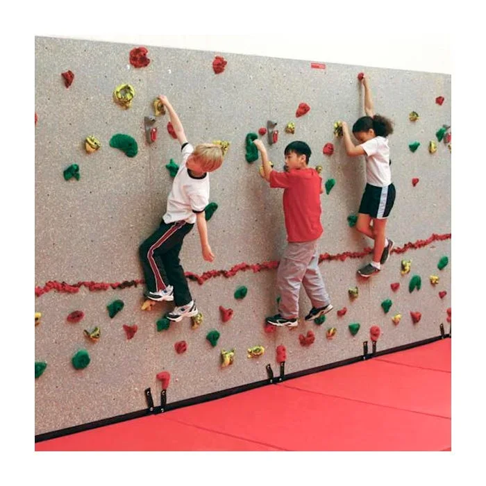 Everlast Physical Education Complete Traversing Wall Package, 8 x 20 Foot Wall, Blue Mat