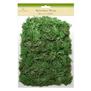 Floral Garden Reindeer Moss, 1-ct. Pack