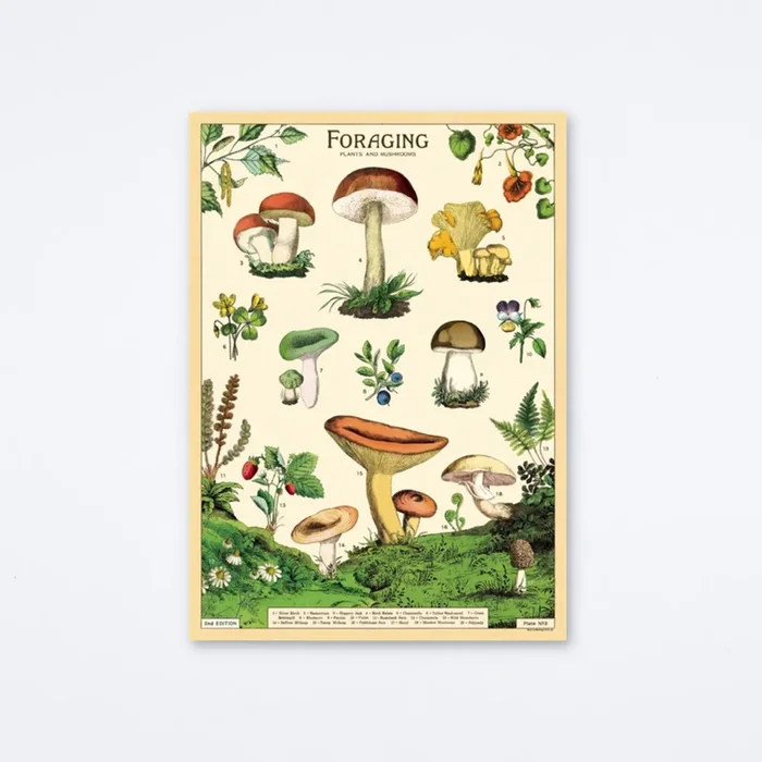 Forage Wrap