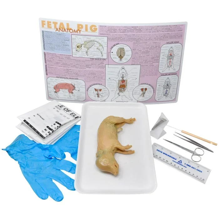 Frey Choice Dissection Kit – Fetal Pig (DBL) with Dissection Tools