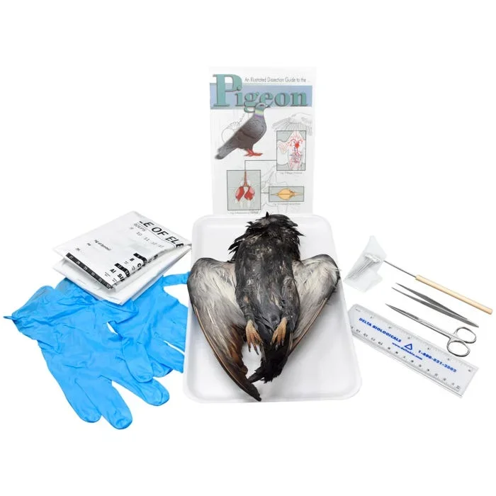 Frey Choice Dissection Kit – Pigeon (DBL) with Dissection Tools