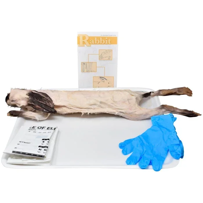 Frey Choice Dissection Kit, Rabbit (DBL)