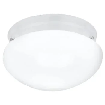 Generation Lighting Webster 9.5″ 2-Light Round Ceiling Fixture, Flush, White