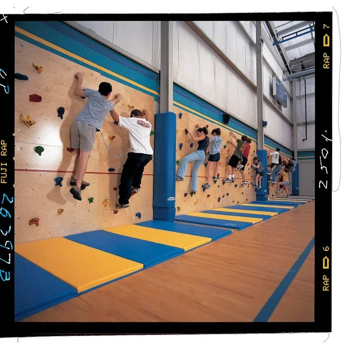 Guidingline 4 x 8 Foot Traversing Wall Panel