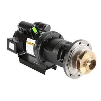 Laars 1/2hp 115v Pump Motor Assemblyra2117202