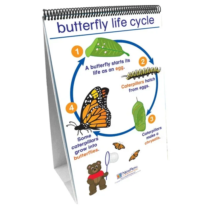NewPath Learning All About Animals Write-On/Wipe-Off Flip Chart Set, Grades PreK to 2