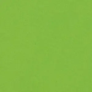 Olin Colours Pistachio Matt Wove 240gsm 700x1000mm B1 LG Pack Of 100 FSC Mix Credit