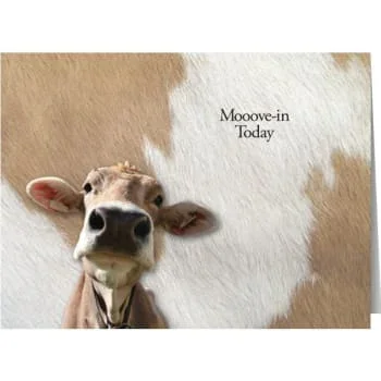 Personalized Simpleside Card Udderly Fantastic No Envelope Imprint Package Of 50