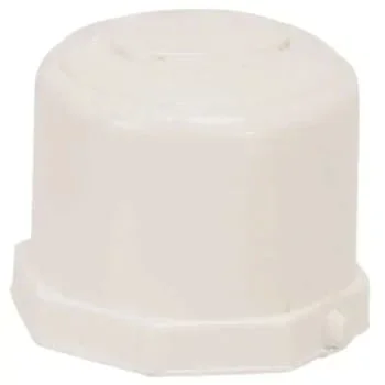 ProPlus PVC Schedule 40 Slip Cap, 1 In.