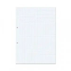 RHINO A4 Punched Exercise Paper 1000 Pages / 500 Leaf 5mm Squared