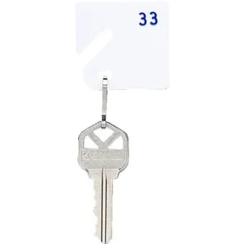 Slotted Numbered 101-120 Key Tag (20-Pack) (White)