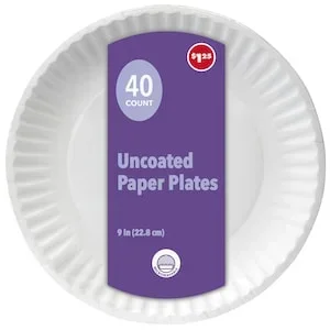 The Home Store 9-in. White Paper Plates, 40-ct. Packs