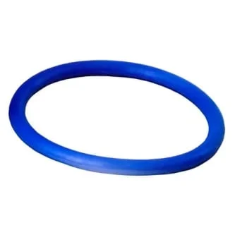 Zurn P6000-C31 O-Ring, For Use With Tailpiece